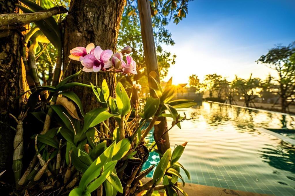 Chatnipa Beach Resort By Morseng Ban Hat Lek Exteriör bild